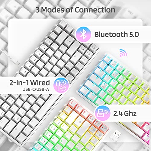 LTC Neon75 Wireless 75% Triple Mode BT5.0/2.4G/USB-C Hot Swappable Mechanical Keyboard, 84 Keys Bluetooth RGB Compact Gaming Keyboard with Software, PBT Pudding Keycaps