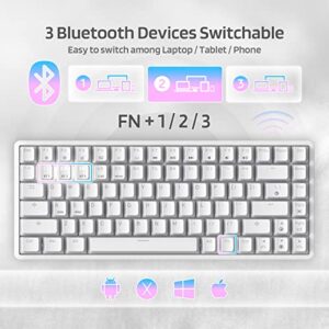 LTC Neon75 Wireless 75% Triple Mode BT5.0/2.4G/USB-C Hot Swappable Mechanical Keyboard, 84 Keys Bluetooth RGB Compact Gaming Keyboard with Software, PBT Pudding Keycaps