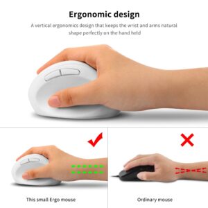 Ergonomic Wireless Vertical Mouse, Rechargeable 2.4G USB Portable Silent Optical Cordless Mouse with 6 Buttons 3 Adjustable DPI (800-1200-1600) for PC Desktop Laptop Notebook (White)