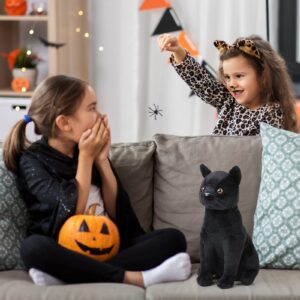 HyDren 13 Inch Halloween Black Cat Plush Black Cat Stuffed Animal Realistic Black Cat Stuffed Toy Soft Kitten Stuffed Animal for Halloween Home Decor Animal Collection Pet Party Favors Supplies