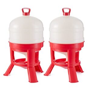 little giant domewtr8 8 gallon tank heavy duty plastic dome poultry and chicken gravity water dispenser with 3 footed stand, red (2 pack)