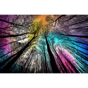 bgraamiens puzzle-forest under starry night-1000 pieces gradient magic colorful puzzle for adult,hard challenge puzzle for adult