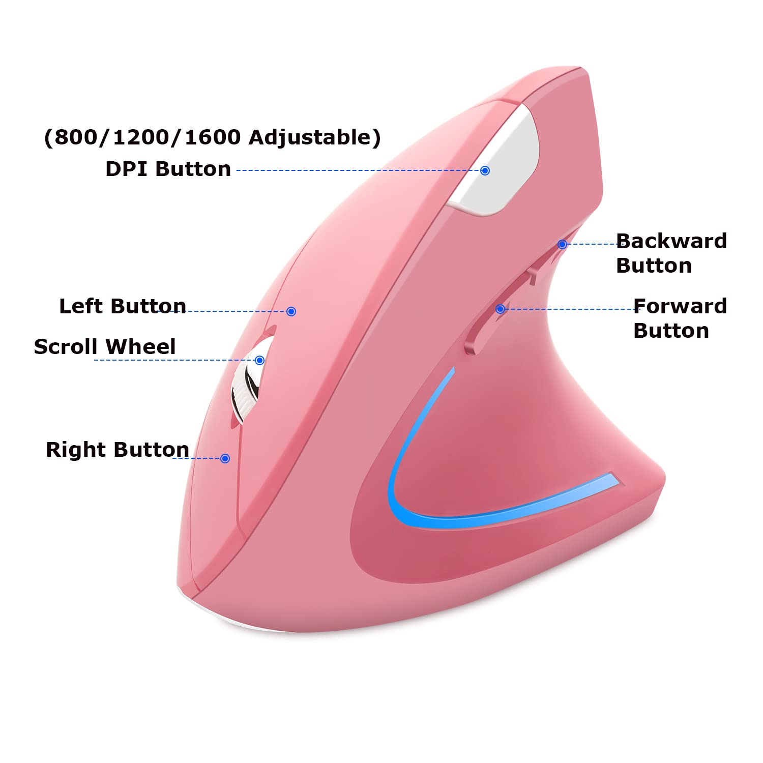 Wireless Mouse Ergonomic Vertical Mouse Ergo High Presion Optical Lightweight Cordless LED Light Cute Wireless Mouse for Laptop Computer Mac Office Girl Boy Adults Gift , 800/1200/1600 DPI, 6 Buttons