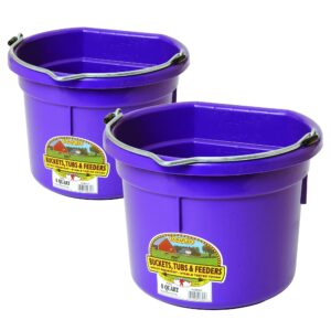 little giant p8fbpurple 2 gallon all purpose heavy duty farm flat back plastic buckets for supplies, toys, laundry, and water, purple, (2 pack)