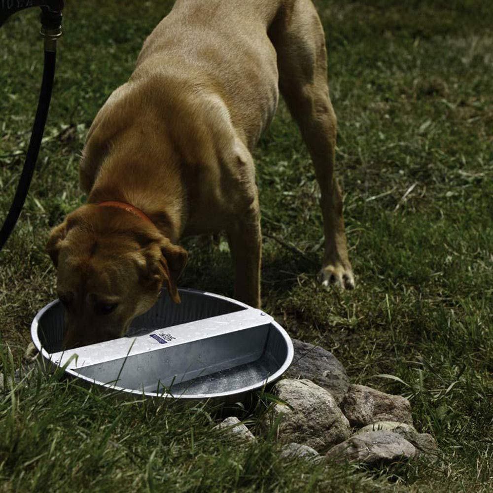 Little Giant 50 Pound Capacity Chow Hound Dry Food Automatic Steel Dog Feeder, with 13 Quart Galvanized Steel Ever-Full Pet Water Bowl Dish