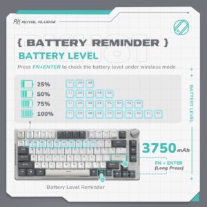 RK ROYAL KLUDGE H81 Hot Swappable Mechanical Keyboard, Triple Mode 2.4Ghz/BT5.1/USB-C Knob Control Wireless Gaming Keyboard Gasket Mounted with RGB Backlit SkyCyan Switch, 75% Layout 81 Keys, White