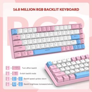 ZIYOU LANG RK-T8 Wired 65% Mechanical Gaming Keyboard with RGB LED Backlit Anti-ghosting TKL Mini 68 Key Custom Coiled C to A Cable Tactile Blue Switch for PS4 PS5 Xbox PC Mac Gamer(Pink/White/Blue)