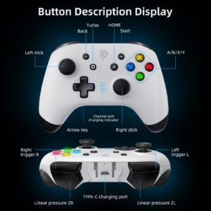 EasySMX Switch Controllers, Wireless Switch Pro Controller for Switch/Switch Lite/Switch OLED/PC/iOS/Android,Switch Remote Gamepad with LED Light/Programmable/Vibration/Turbo/Wakeup/Screenshot