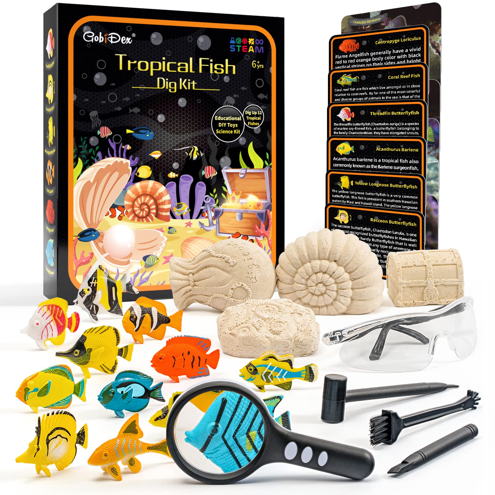 GobiDex Ocean Fish Dig Kit, Excavate 12 Sea Life Fish Toys, Science Kits for Kids Age 6-8-12, STEM Education Science Activities Toys, Great Gift for Boys & Girls Age 6+