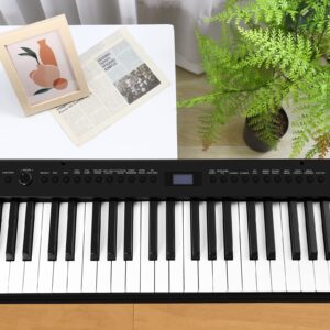 CADEME C-811D 88-Key Weighted Keyboard Digital Piano,Beginner Piano Full Size Electric Keyboard with Stand, Power Adapter, Triple Pedal (Black)