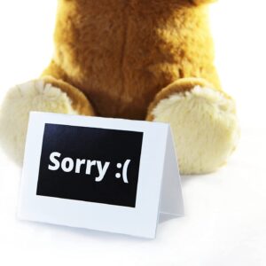 Cutest I'm Sorry Gift for Her & Him - The I'm Sorry Teddies - Embarrassed Adorable Super Soft Stuffed Animal Plush Toy - Unique Cute Forgive Me Apology Teddy Bear Gift for Kids and Adults - Brown