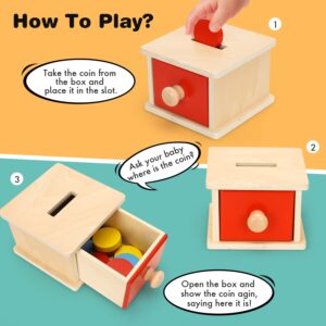 TOY Life Montessori Coin Box Toys Object Permanence Toys for Babies Toddlers Montessori Toys for 1+ Year Old Wooden Montessori Ball Drop Toys Developmental Toys for 2+ Year Old Imbucare Learning Box