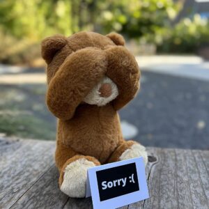 Cutest I'm Sorry Gift for Her & Him - The I'm Sorry Teddies - Embarrassed Adorable Super Soft Stuffed Animal Plush Toy - Unique Cute Forgive Me Apology Teddy Bear Gift for Kids and Adults - Brown