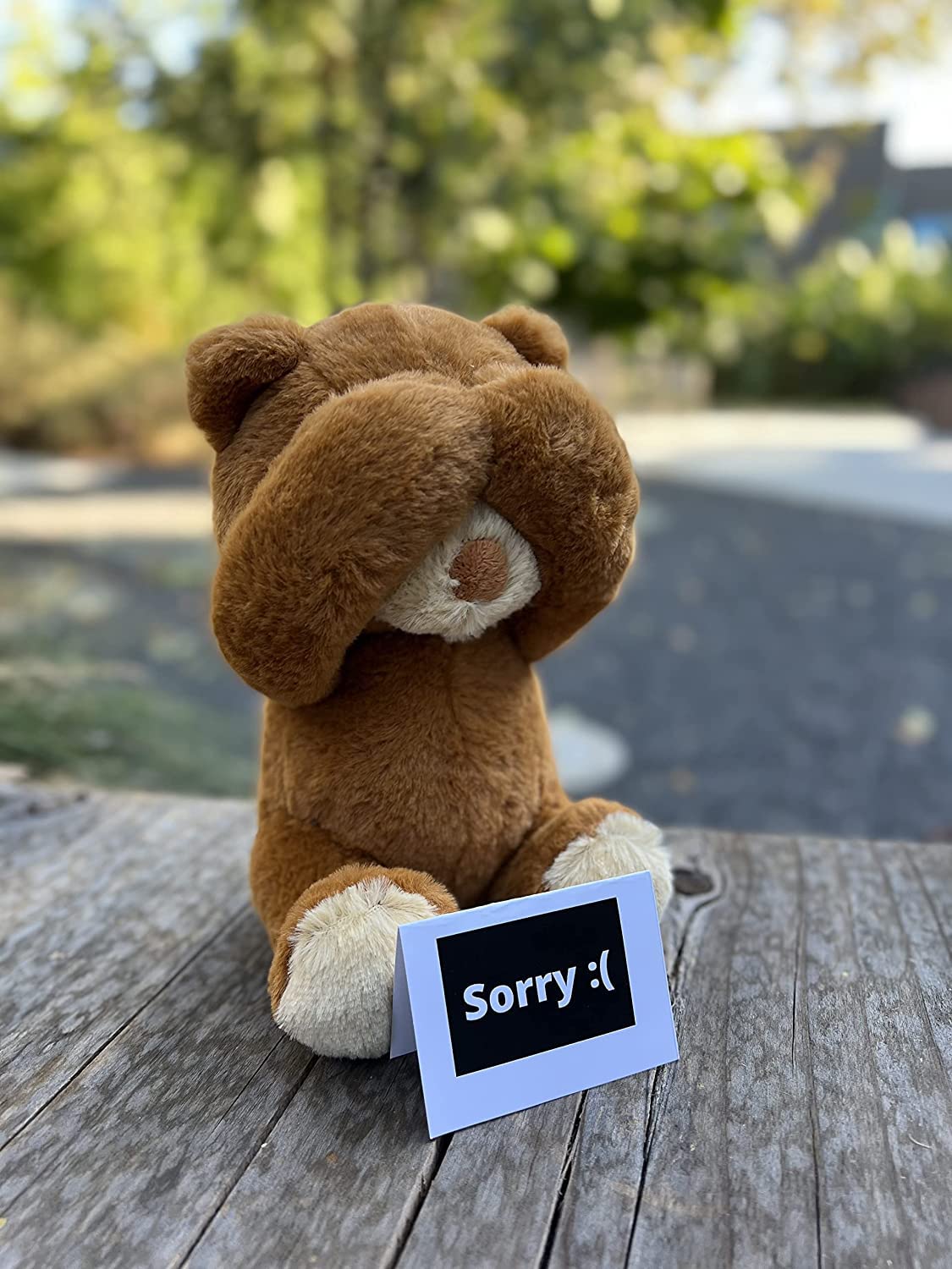 Cutest I'm Sorry Gift for Her & Him - The I'm Sorry Teddies - Embarrassed Adorable Super Soft Stuffed Animal Plush Toy - Unique Cute Forgive Me Apology Teddy Bear Gift for Kids and Adults - Brown