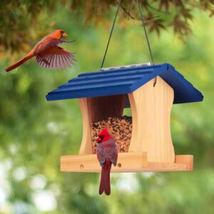 Alaskan Western Red Cedar Ranch Bird Feeder Kit to Build - Wood Birdhouse Building with Hanging Rope, Paints and Brushes. Longtime Durability. Patented Design Bird House.