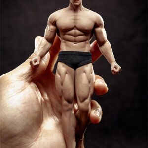 1/12 Scale Male Action Figure,6inch Male Super-Flexible Seamless Action Figure Body Doll Collection(TM02A Strong Version)