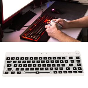 Yoidesu RGB Mechanical Keyboard DIY Kit, 68 Keys Hot Swappable Modular Custom Keyboard, 3Pin/5Pin Switch, Wireless 2.4G/Bluetooth/Type C Wired Gaming Keyboard(White)