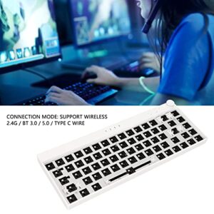 Yoidesu RGB Mechanical Keyboard DIY Kit, 68 Keys Hot Swappable Modular Custom Keyboard, 3Pin/5Pin Switch, Wireless 2.4G/Bluetooth/Type C Wired Gaming Keyboard(White)