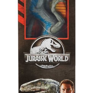 Mattel Jurassic World Toys Large Basic Velociraptor Blue