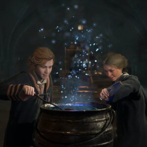 Hogwarts Legacy Collector's Edition - PC