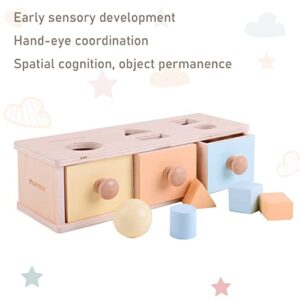 MORITECK Montessori 3 in 1 Object Permanence Box Coin Box Shape Sorter for 8 Months up Baby Wooden Toy for Boy Girls Christmas Birthday Gift