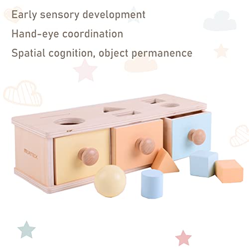 MORITECK Montessori 3 in 1 Object Permanence Box Coin Box Shape Sorter for 8 Months up Baby Wooden Toy for Boy Girls Christmas Birthday Gift