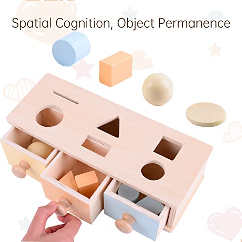 MORITECK Montessori 3 in 1 Object Permanence Box Coin Box Shape Sorter for 8 Months up Baby Wooden Toy for Boy Girls Christmas Birthday Gift