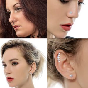 Tornito 18Pcs Cartilage CZ Stud Earrings Conch Forward Helix Tragus Daith Piercing Lip Rings Snake Butterfly Jewelry for Women Men 16G Silver Tone