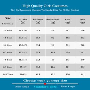 JOURPEO Girls Dress Puff Sleeve Princess Costume Dress Up Fancy Halloween Christmas Cosplay Party Costume (First Purple, 3-4 Years)