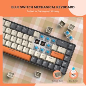 ZIYOU LANG RK-T8 Wired 65% Mechanical Gaming Keyboard with RGB LED Backlit Anti-ghosting TKL Mini 68 Key Custom Coiled C to A Cable Tactile Blue Switch for PS4 PS5 Xbox PC Mac Gamer(Dark Gray/White)