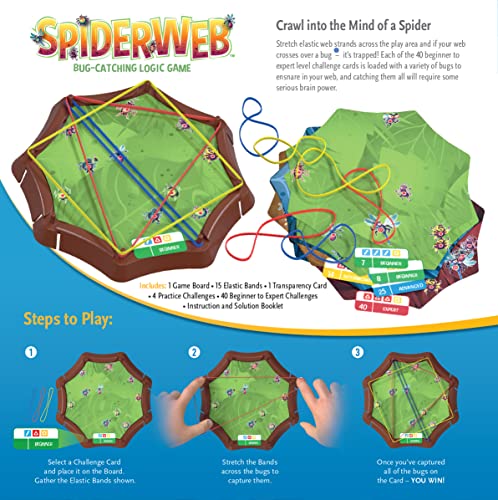 Think Fun Spiderweb: A Bug-Catching Logic Game for Ages 8+