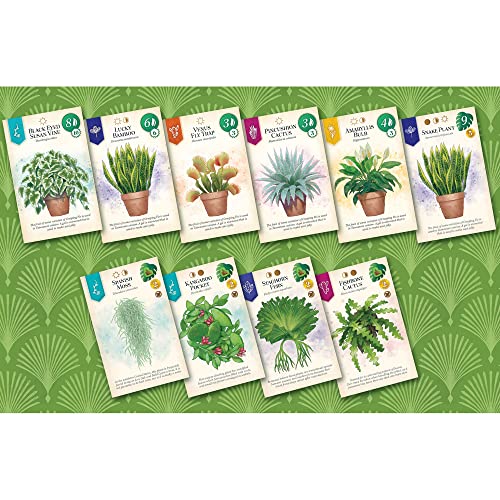 AEG & Flatout Games | Verdant - A Board Game for the Houseplant Collector | From the Creators of Cascadia | Easy to Learn | Quick to Play | Ages 10+ | 1-5 Players