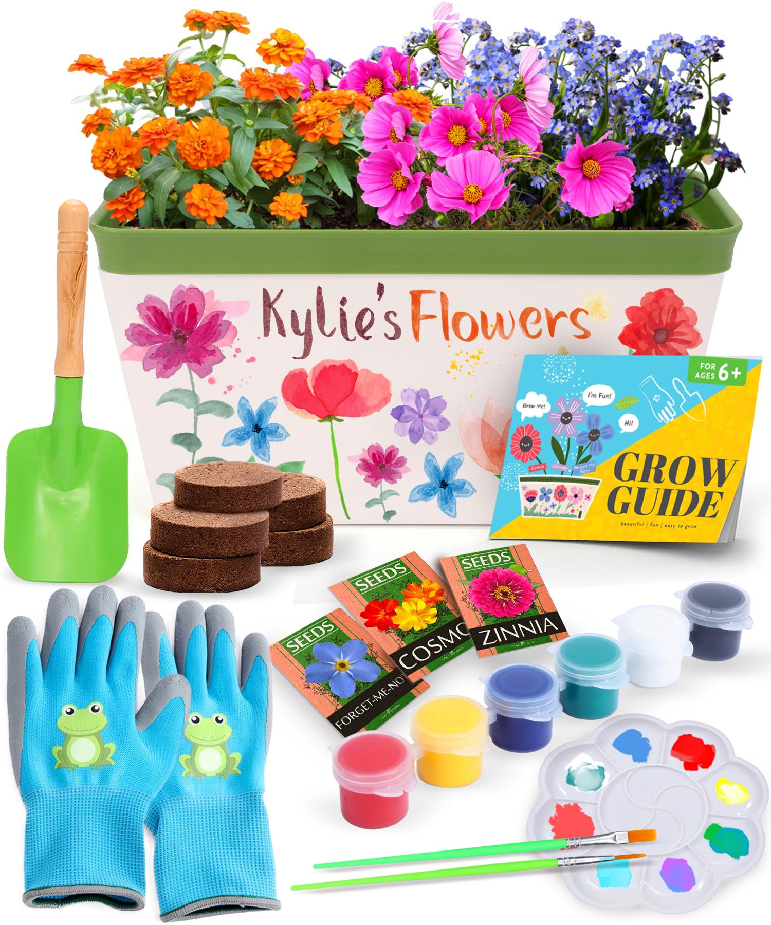 Home Grown Paint & Grow Flower Gardening Kit Set for Boys and Girls - Craft Activity Toy for Kids, Ages 5 6 7 8-12 Years Old - Unique Birthday Present - Plant Gift Toys