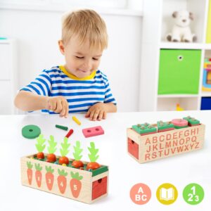 KIZBURG 5 in 1 Object Permance Box, Wooden Montessori Toys for 3 Year Old, Ball Drop, Coin Drop Game, Stacking Toys, Christmas Birthday Gifts for Toddlers