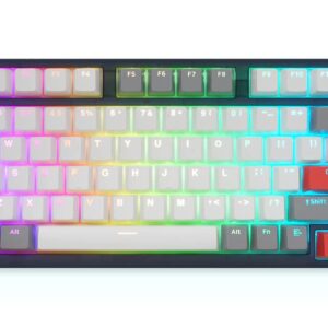 SKYLOONG GK75 Compact Programmable Gaming Keyboard,TKL 75% Layout,RGB Wired Hot Swappable Mechanical Keyboard,with Knob,Double Shot PBT Keycaps,Compatible Windows/MAC