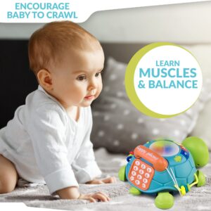 Boxgear Musical Turtle Toy - Baby Crawling Toys for Babies 18+ Months - Learning with Sound, Music, Lights, Phone, Letters, Numbers - for Motor Skills, Cognitive Development, Hand-Eye Coordination