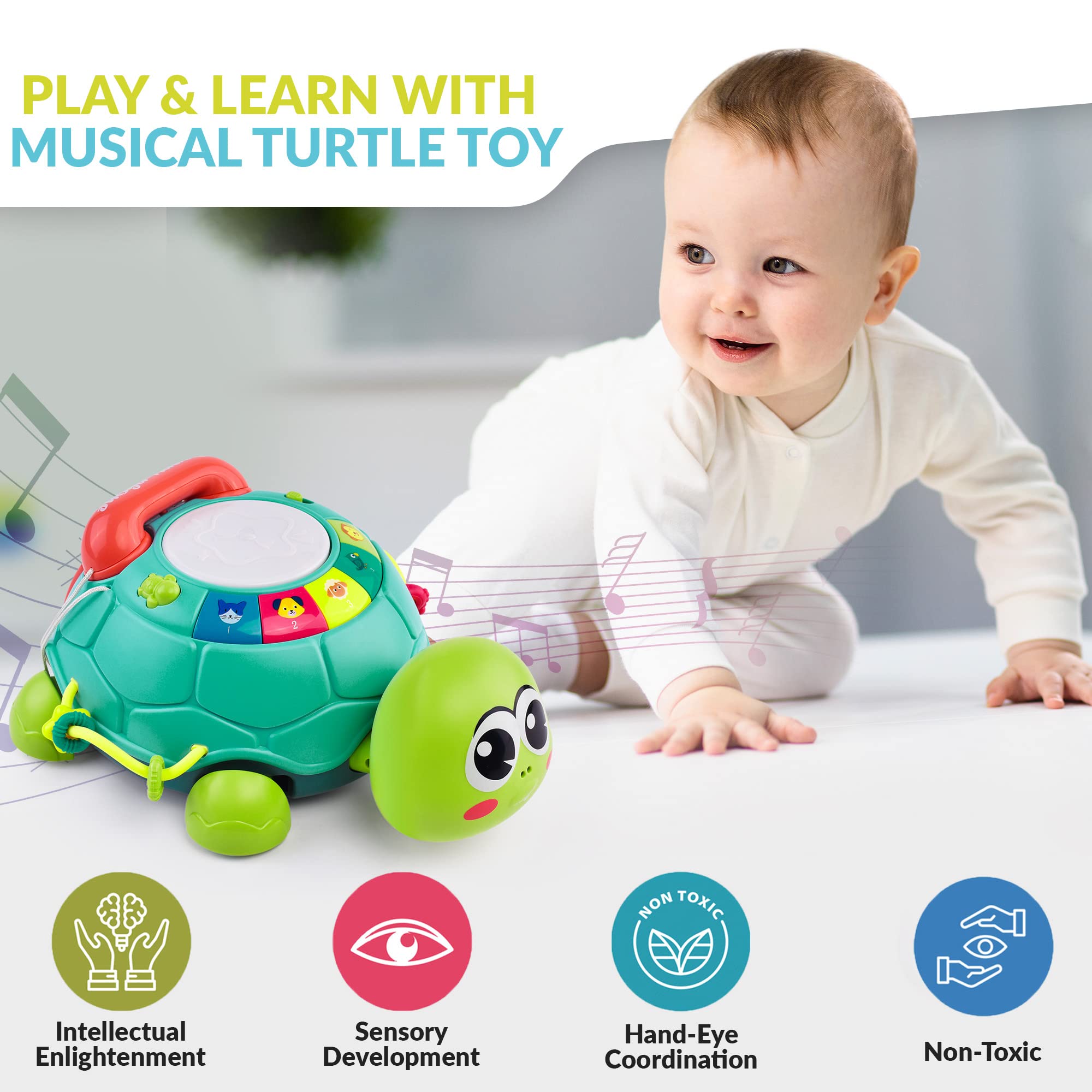 Boxgear Musical Turtle Toy - Baby Crawling Toys for Babies 18+ Months - Learning with Sound, Music, Lights, Phone, Letters, Numbers - for Motor Skills, Cognitive Development, Hand-Eye Coordination