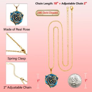 AliveRose Rose Pendant Necklaces Gifts for Women, 24K Gold Dipped Real Rose Dangle Necklace Jewelry - Ideal Gift for Her Wife Mom Anniversaries, Valentines (Blue)