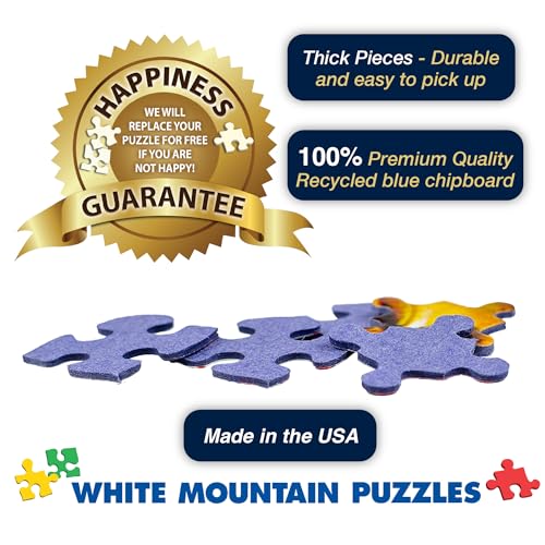 White Mountain Puzzles - Binge Watching - 1000 Piece Jigsaw Puzzle for Adults - Fun Family Activity - 24"x30"