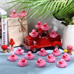 30 Pcs Pink Rubber Ducks You've Been Ducks Shower Rubber Ducks 2.16 Inch Rubber Ducks Small Ducks Float Bathtub Toys Party Favor for Birthday Carnival Ducking Game