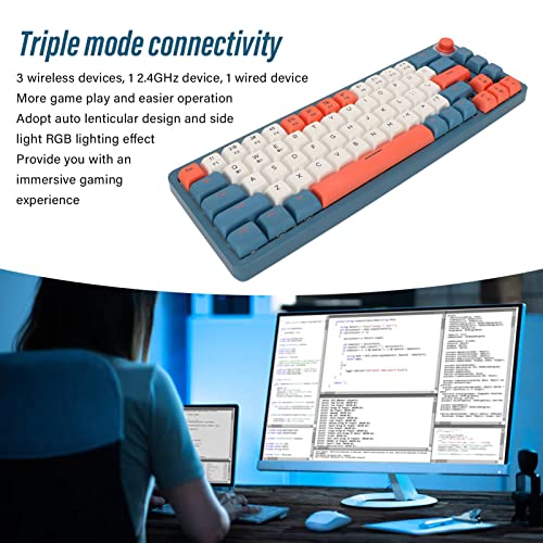 Gaming Keyboard, Multifunctional LK67 USB C Wired 67 Keys Mechanical Keyboard Comfortable Touch Blue for Work for Gaming (Silver Switch)