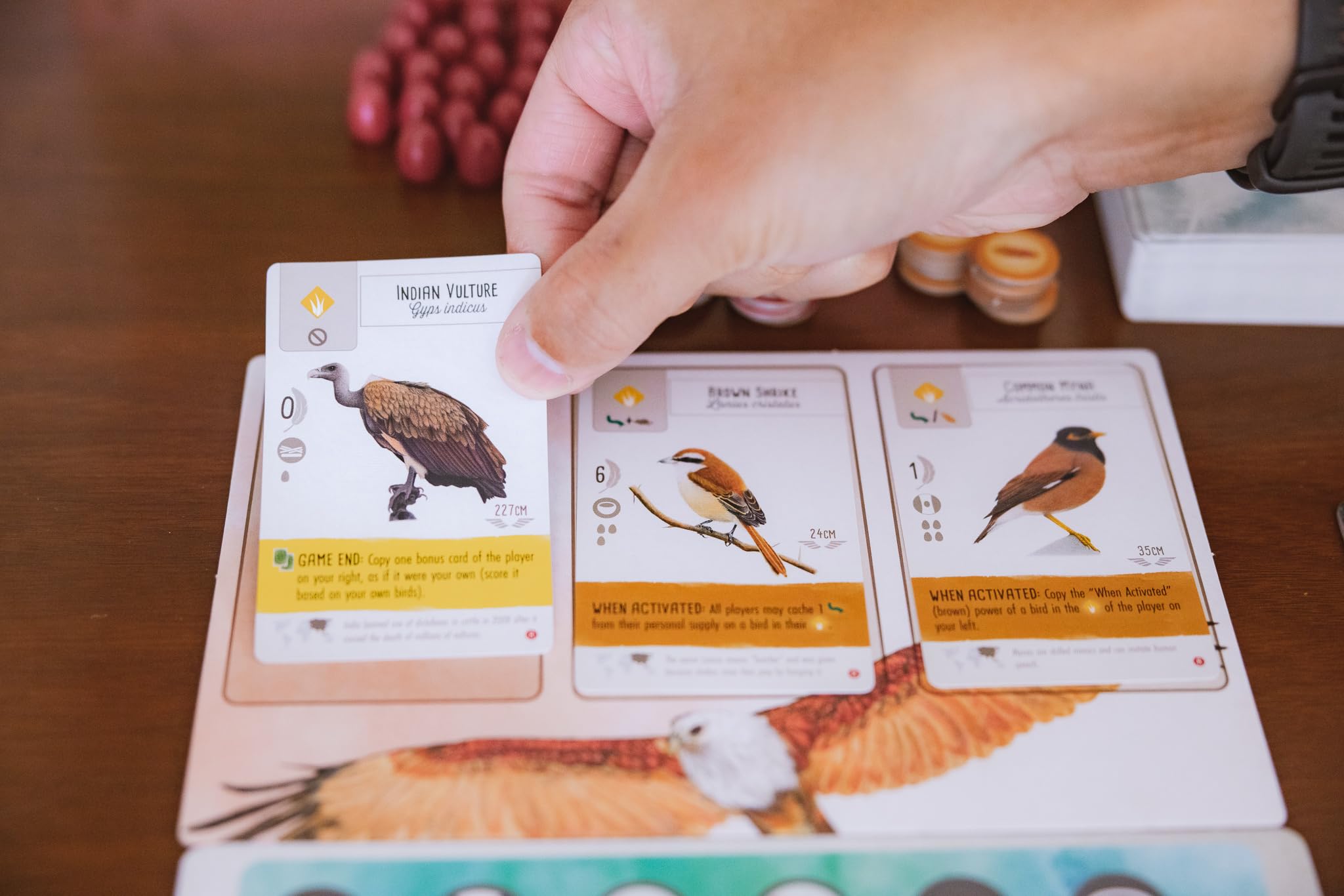 Stonemaier Games: Wingspan Asia | Standalone Game or Expansion to Wingspan (Base Game) | Great for Solo Play or 2 Player | Add to Wingspan for 6-7 Player Expansion | 1-5 Players, 70 Mins, Ages 14+