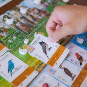 Stonemaier Games: Wingspan Asia | Standalone Game or Expansion to Wingspan (Base Game) | Great for Solo Play or 2 Player | Add to Wingspan for 6-7 Player Expansion | 1-5 Players, 70 Mins, Ages 14+