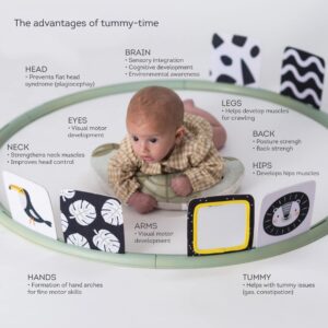 Taf Toys Tummy Time Support for Newborns & Babies, Developmental Activity Center with Detachable Pillow & Toys Encourage Baby’s Senses Development, Fine & Gross Motor Skills & Eye-Hand Coordination