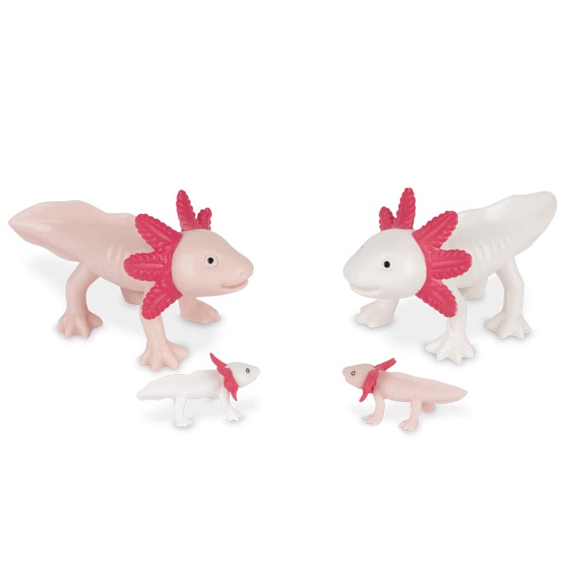 Accoutrements Archie McPhee Box of Axolotls Family of Four