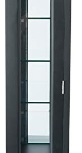 Displays2go 21" Countertop/Wall Mount Display Case, Adjustable Shelves, Locking - Black (DCC2128BK2)