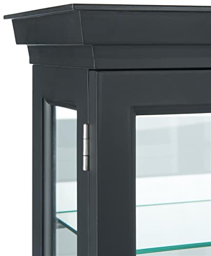 Displays2go 20" Countertop/Wall Mount Display Case, Adjustable Shelves, Locking - Black (DCC2033BK2)