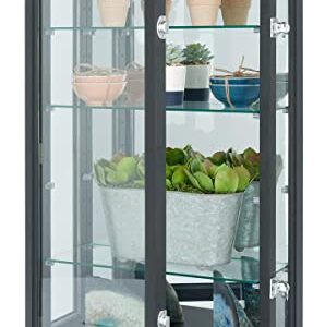 Displays2go 20" Countertop/Wall Mount Display Case, Adjustable Shelves, Locking - Black (DCC2033BK2)