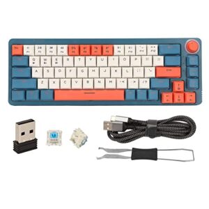 Laihua Mechanical Gaming Keyboard, PBT XDA LK67 Keycaps Stylish 5.0 Wired Multifunction Home Gaming Keyboard for Daily Use (Blue Switch)