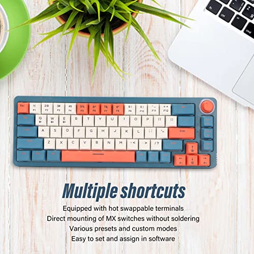 Laihua Mechanical Gaming Keyboard, PBT XDA LK67 Keycaps Stylish 5.0 Wired Multifunction Home Gaming Keyboard for Daily Use (Blue Switch)